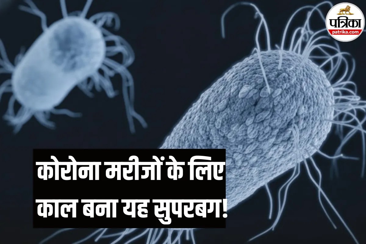 कोरोना मरीजों के लिए नई आफत! फेफड़ों को खराब कर रहा है Candida Auris, डॉक्टर से जानें इससे बचने के उपाय