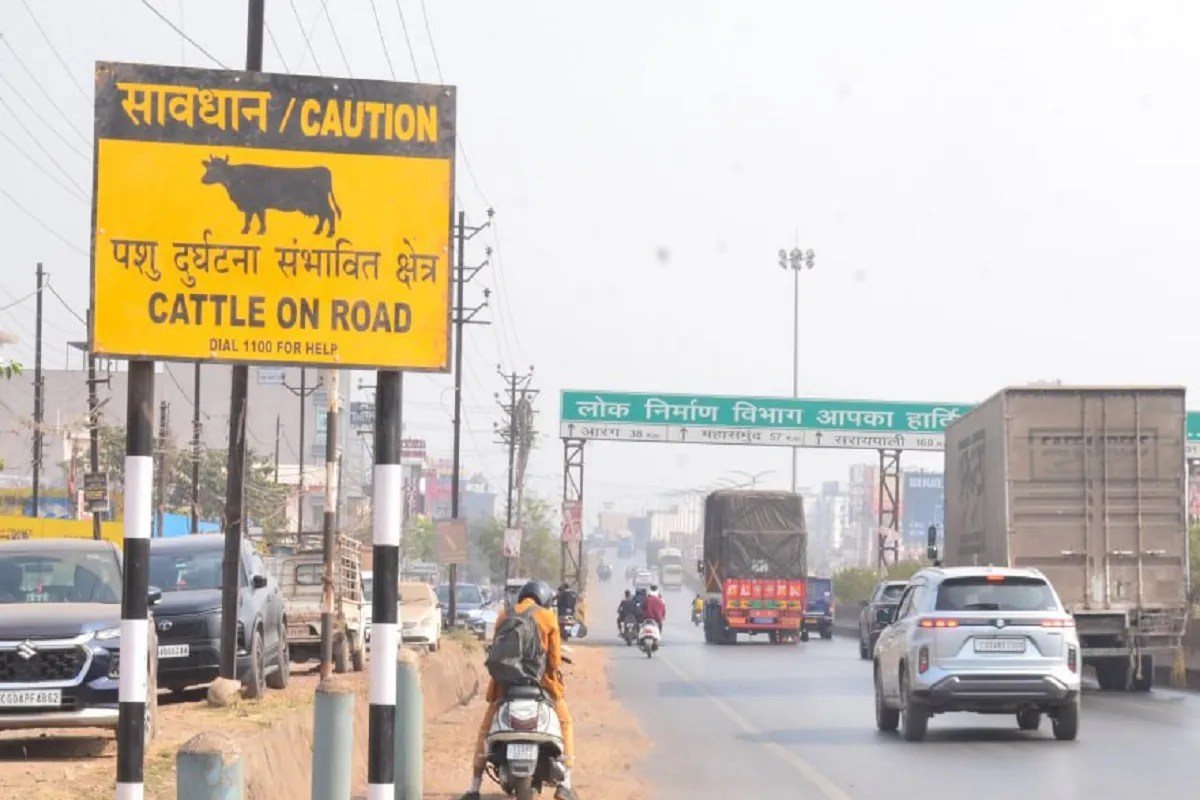 प्रसंगवश: भैंस के आगे बीन बजाए, भैंस खड़ी पगुराय… बोर्ड से हटाएंगे मवेशी!