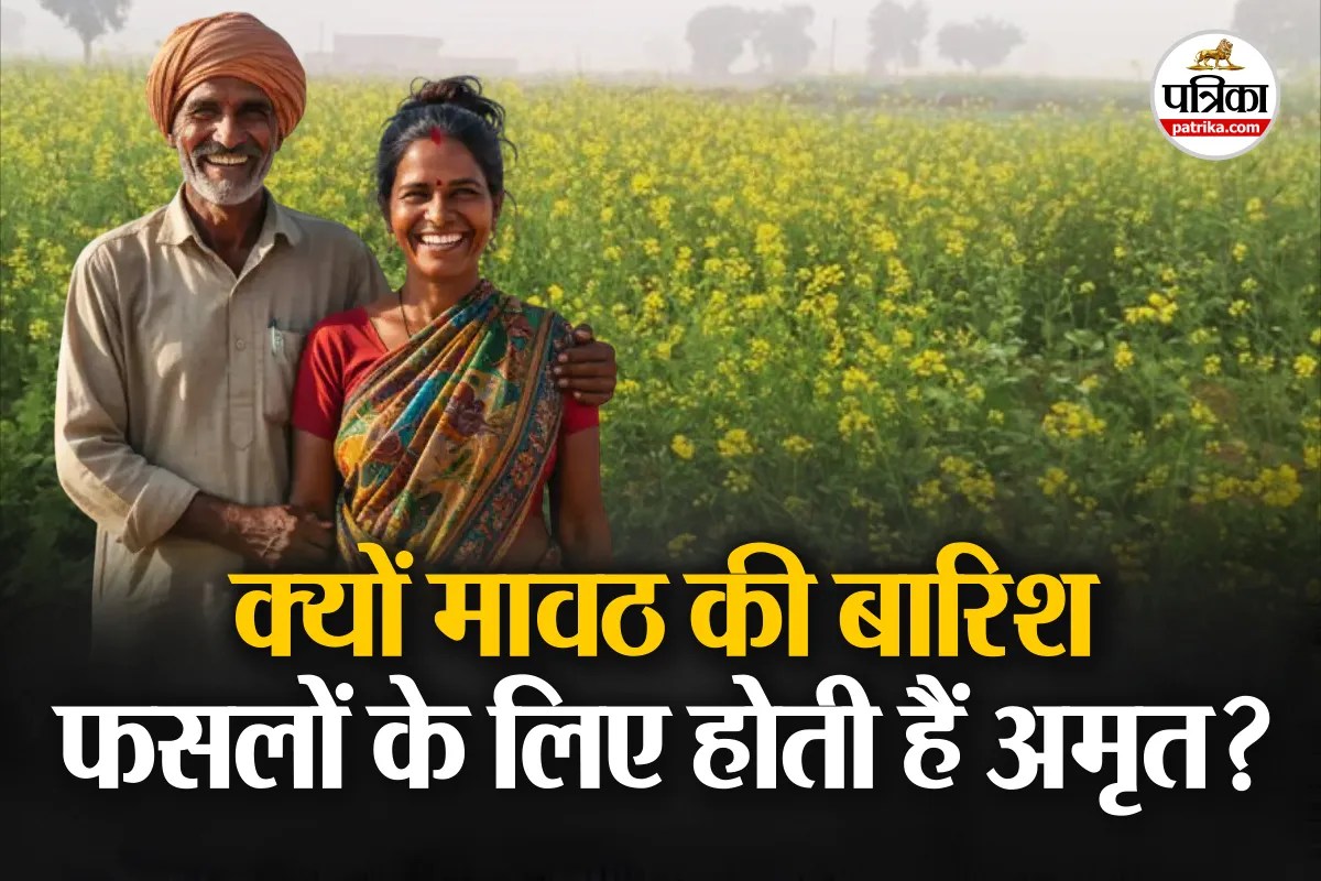 Mavath rainfall benefits for crops : मावठ की बारिश क्यों कहलाती है फसलों के लिए अमृत, जानिए किसानों को क्यों रहता है इसका इंतजार?