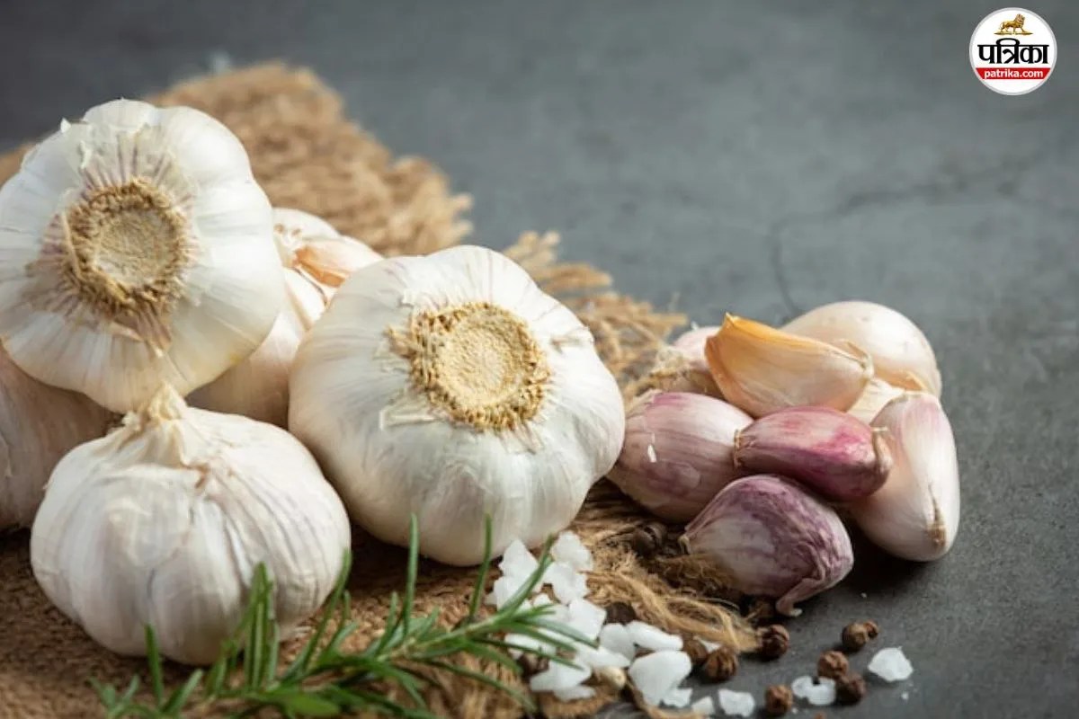 Garlic Benefits: भूलने की बीमारी से बचाएगा लहसुन का एक टुकड़ा, रिपोर्ट में हुआ बड़ा खुलासा
