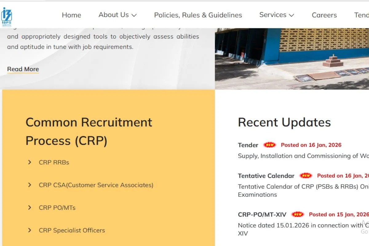 सीधे इस लिंक से डाउनलोड कर पाएंगे IBPS Clerk Prelims Result 2025, सेव कर लें