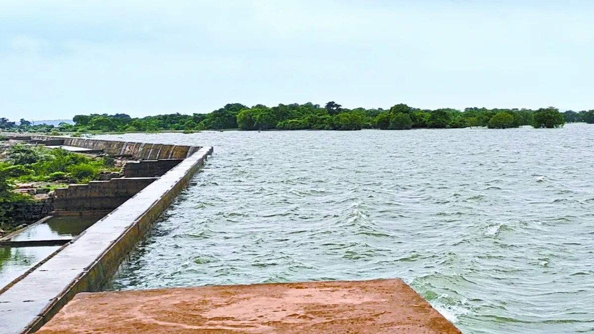 गर्मी में धान की फसल, सिंचाई विभाग जलाशयों से नहीं छोड़ेगा पानी