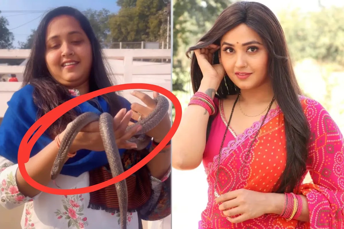 हाथ में कोबरा लिए दिखीं भोजपुरी की फेमस एक्ट्रेस, सामने आया वीडियो