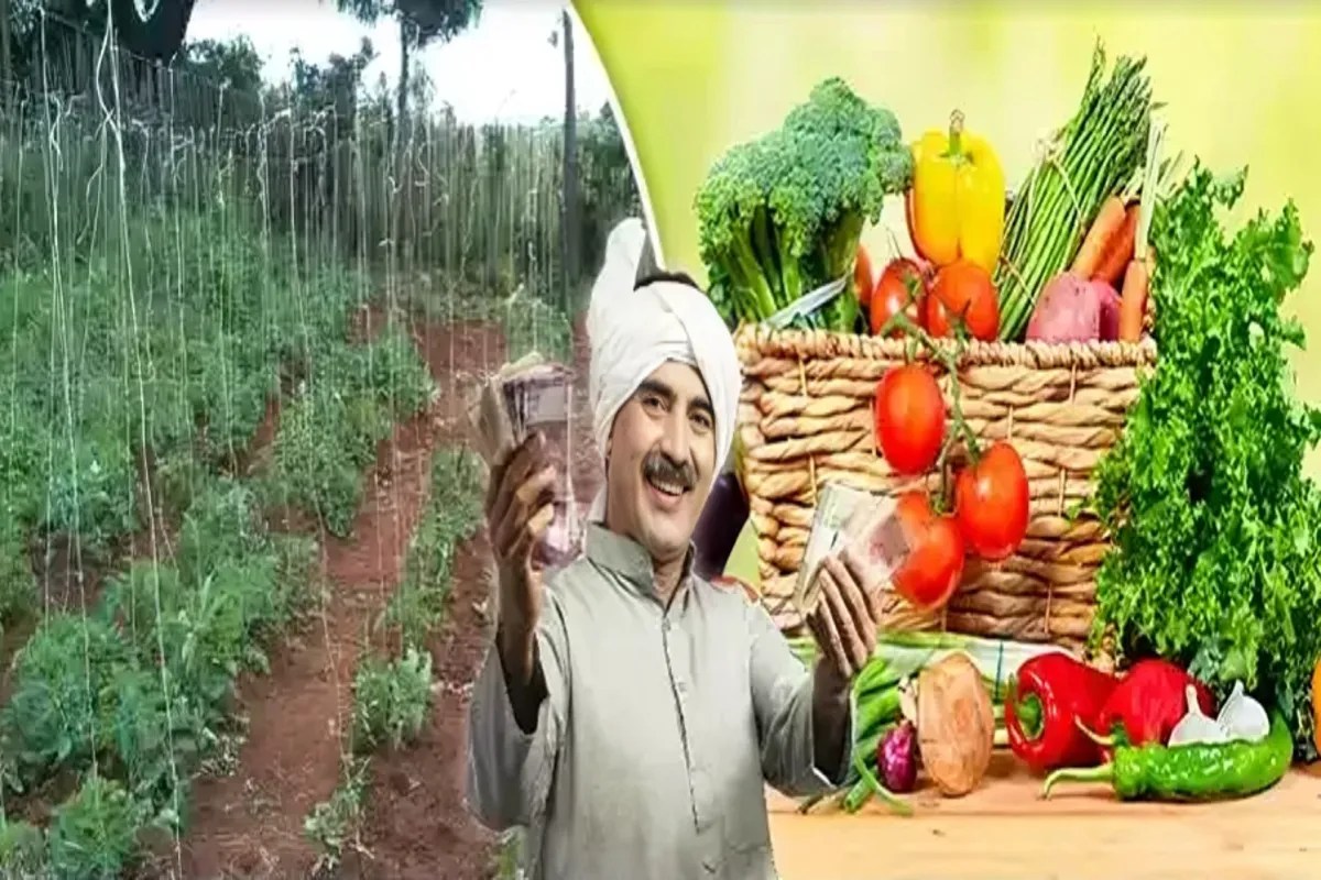 Krishi Yojana 2026: पहली बार शाक-भाजी खेती पर अनुदान, मुख्यमंत्री औद्यानिक मिशन से किसानों को मिलेगा बड़ा लाभ