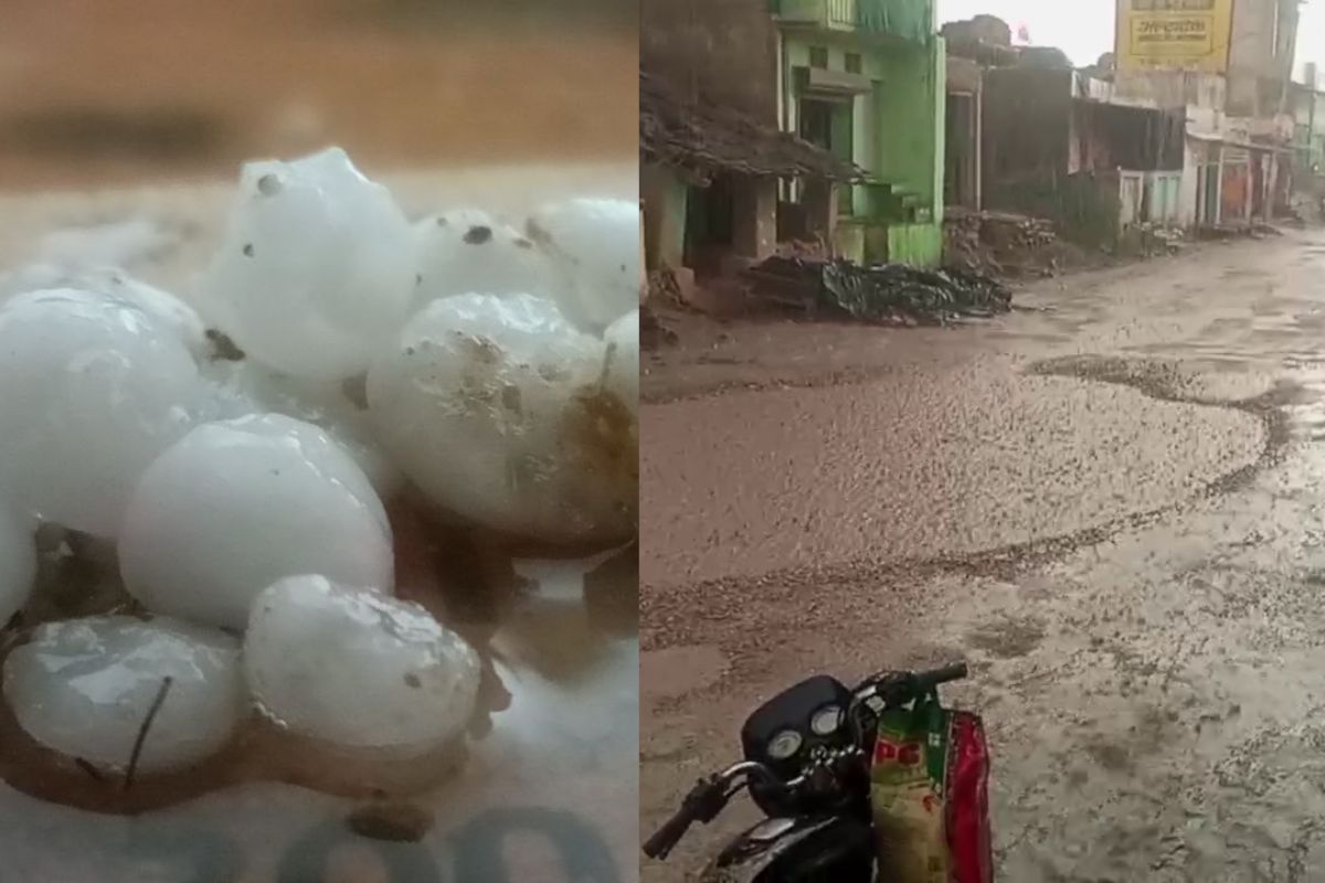 Farmers News: ओलावृष्टि से प्रभावित किसानों को राजस्थान सरकार की बड़ी सौगात