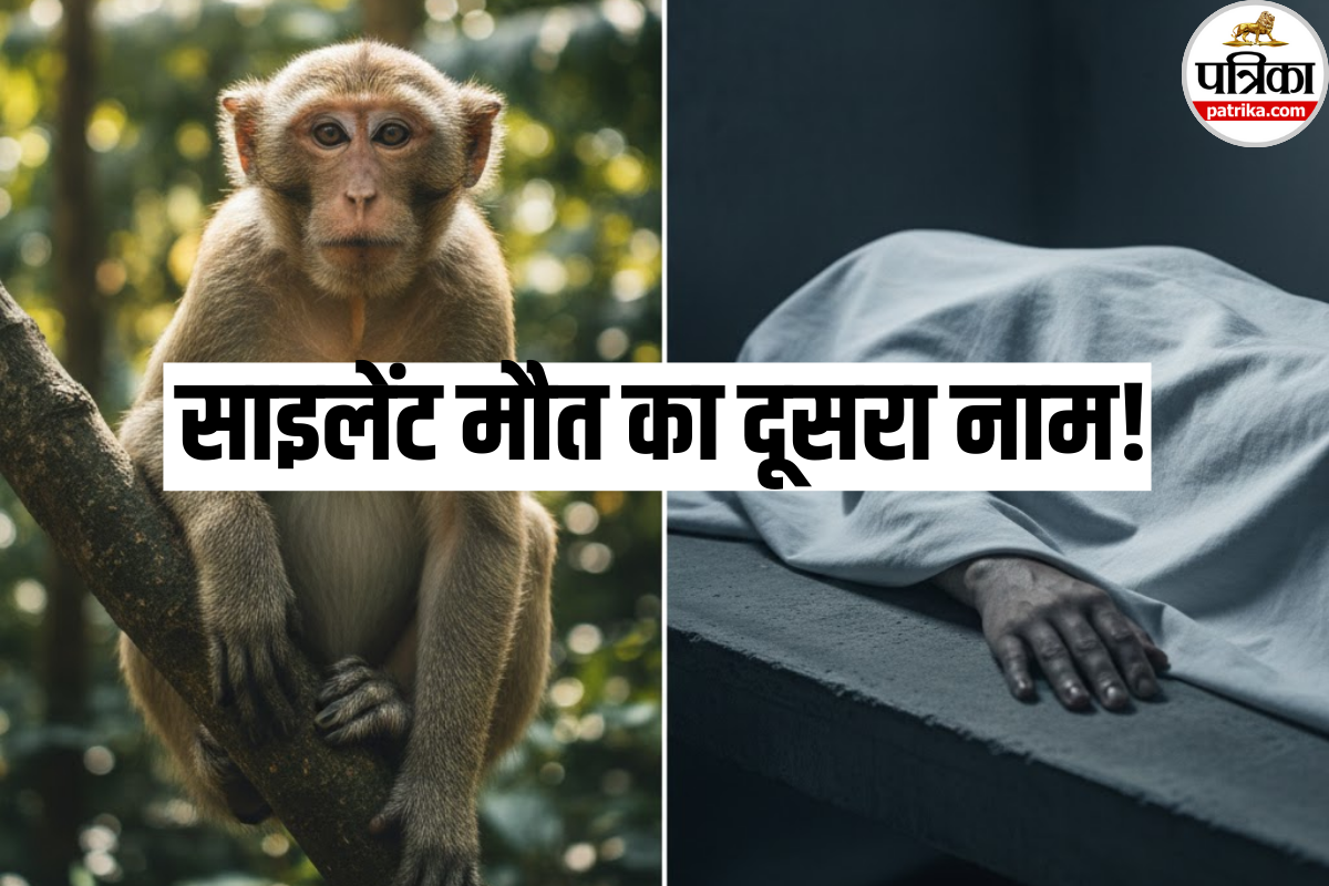Monkey Fever: निपाह के बाद अब मंकी फीवर का कहर! ये लक्षण दिखें तो तुरंत डॉक्टर से मिलें