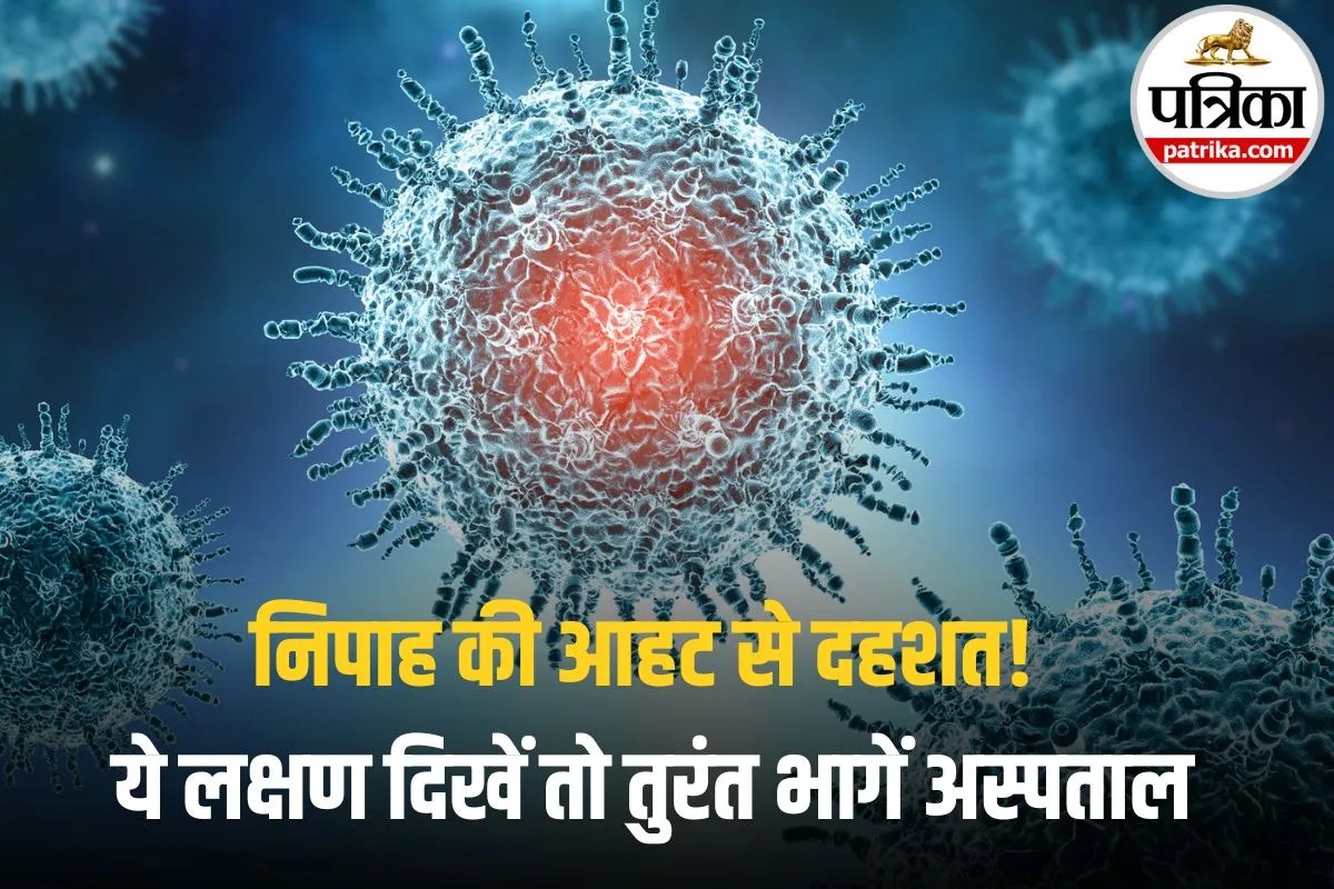 सावधान! बंगाल में Nipah की दस्तक, झारखंड में मचा हड़कंप! ये लक्षण दिखें तो तुरंत भागें अस्पताल