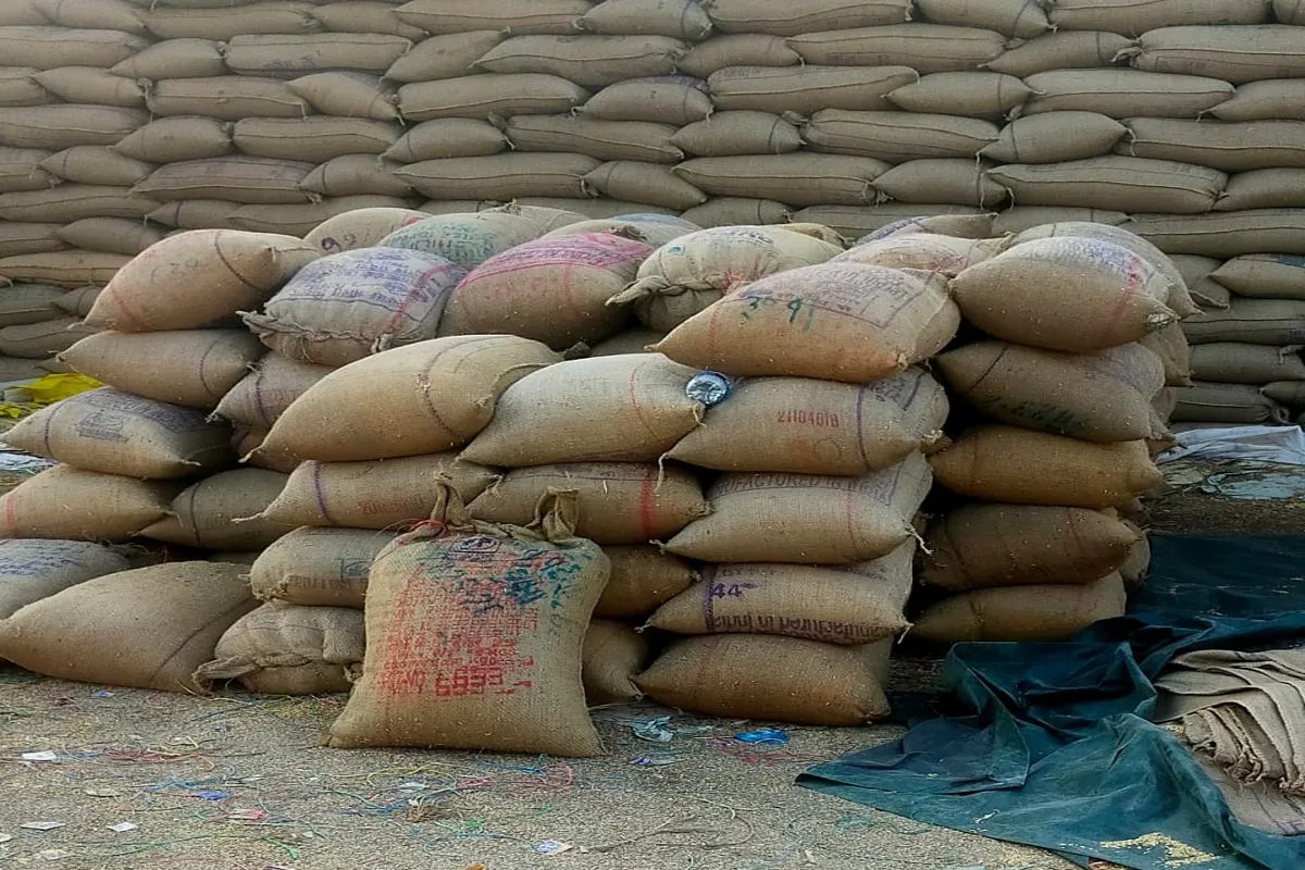 Paddy procurement: धान खरीदी केंद्र प्रभारी को किया गया निलंबित, ऑफिसर बोले- ऐसी लापरवाही नहीं करेंगे बर्दाश्त