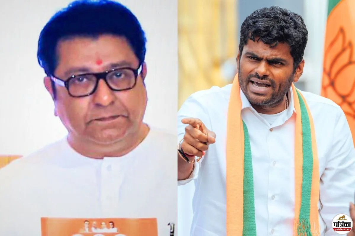 रसमलाई, लुंगी-पुंगी… राज ठाकरे ने उड़ाया मजाक तो अन्नामलाई बोले- मुंबई आ रहा हिम्मत है तो…