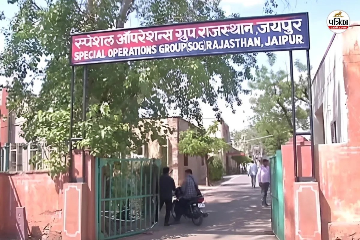 PTI Recruitment: फर्जी डिग्री से 67 अभ्यर्थियों ने पाई नौकरी! राजस्थान से MP पहुंची SOG; 5 ठिकानों पर ताबड़तोड़ छापेमारी