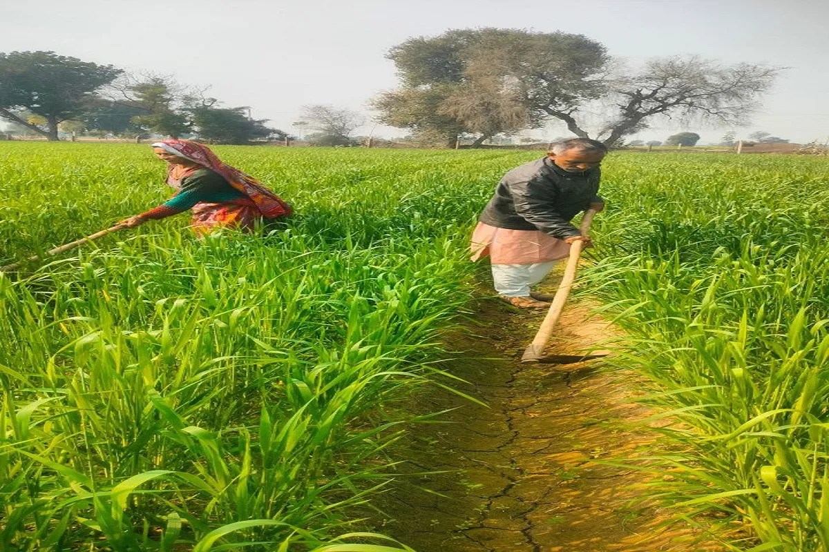 लाल किले की परेड में मिलेगा जैविक खेती को सम्मान