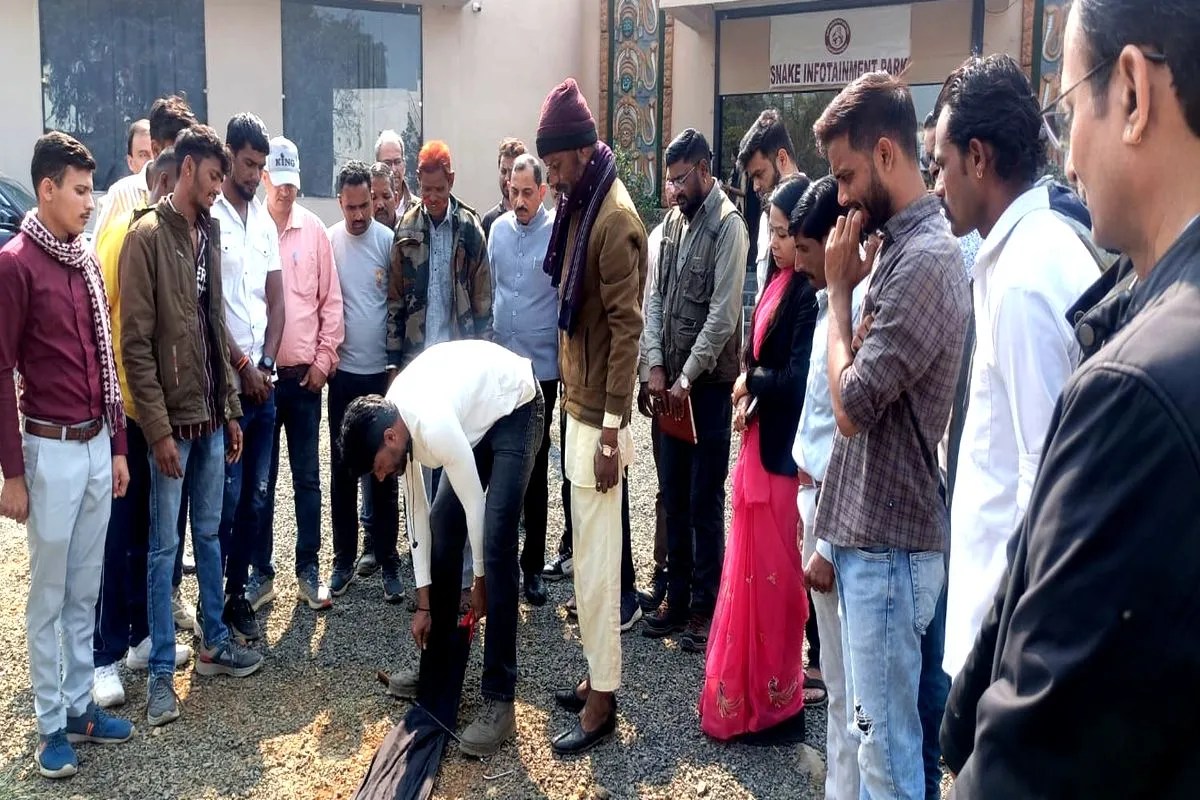 उज्जैन में पता चली मध्यप्रदेश में पाए जाने वाले विषैले सर्पो की प्रजाति