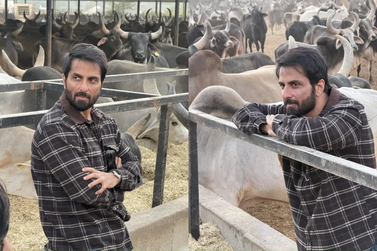 सोनू सूद ने फिर जीता लोगों का दिल, गौशाला के लिए दे दिए इतने लाख रुपये