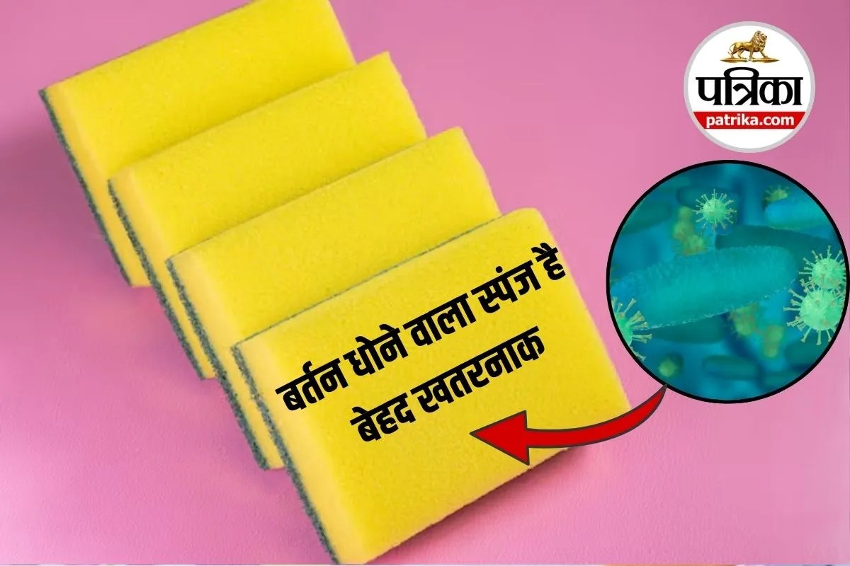 Harmful Bacteria In Kitchen Sponges: टॉयलेट सीट से भी ज्यादा गंदा है आपका किचन स्पंज, सावधान रहें