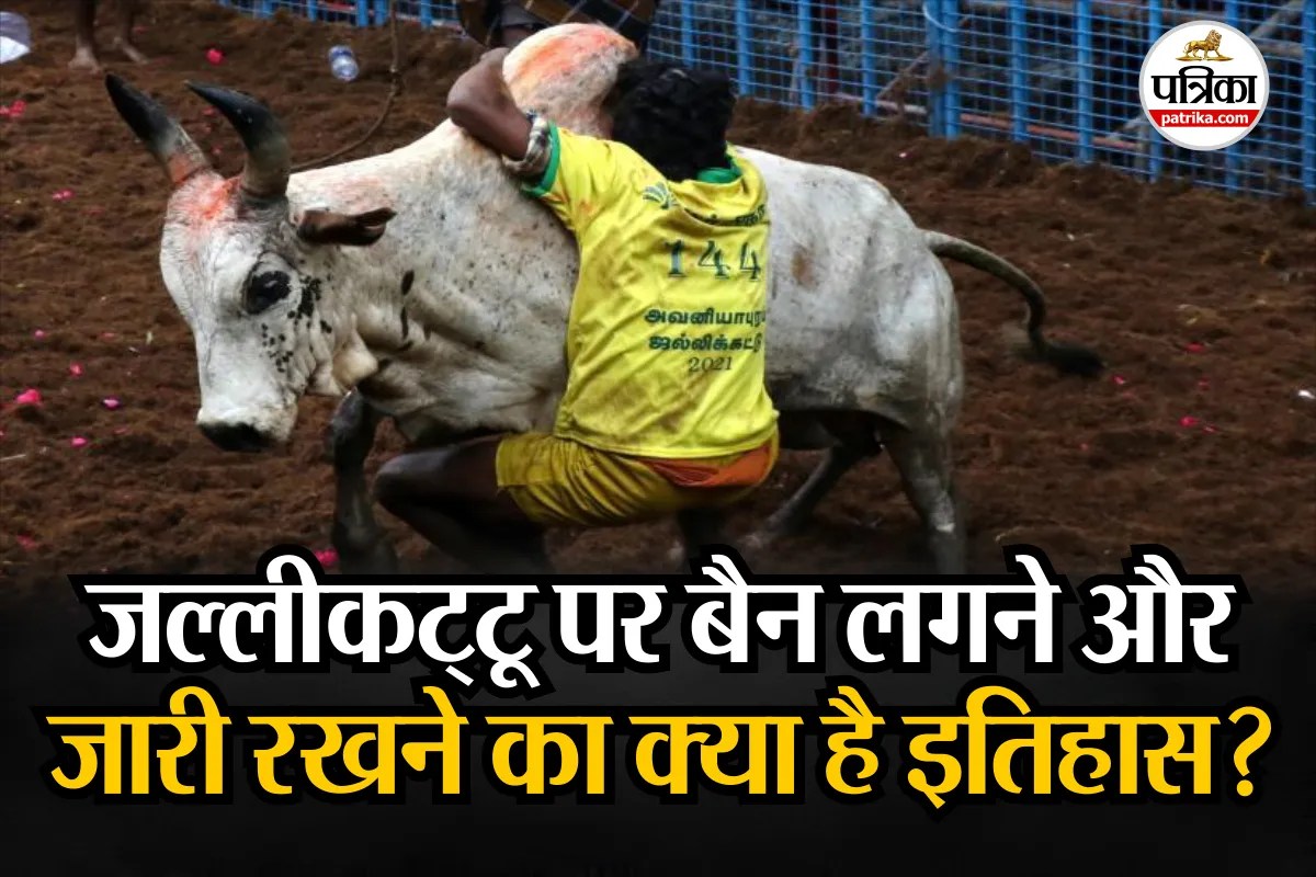 ‘बैल और इंसान’ की लड़ाई जारी, Jallikattu पर कब-कब लगी कोर्ट और सरकार की रोक, PCA Act के तहत क्या मिलता है दंड?
