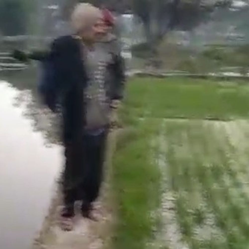 माइनर में खांदी कटी, 40 बीघा गेहूं जलमग्न:किसानों ने नहर विभाग पर लापरवाही का आरोप लगाया, मुआवजे की मांग