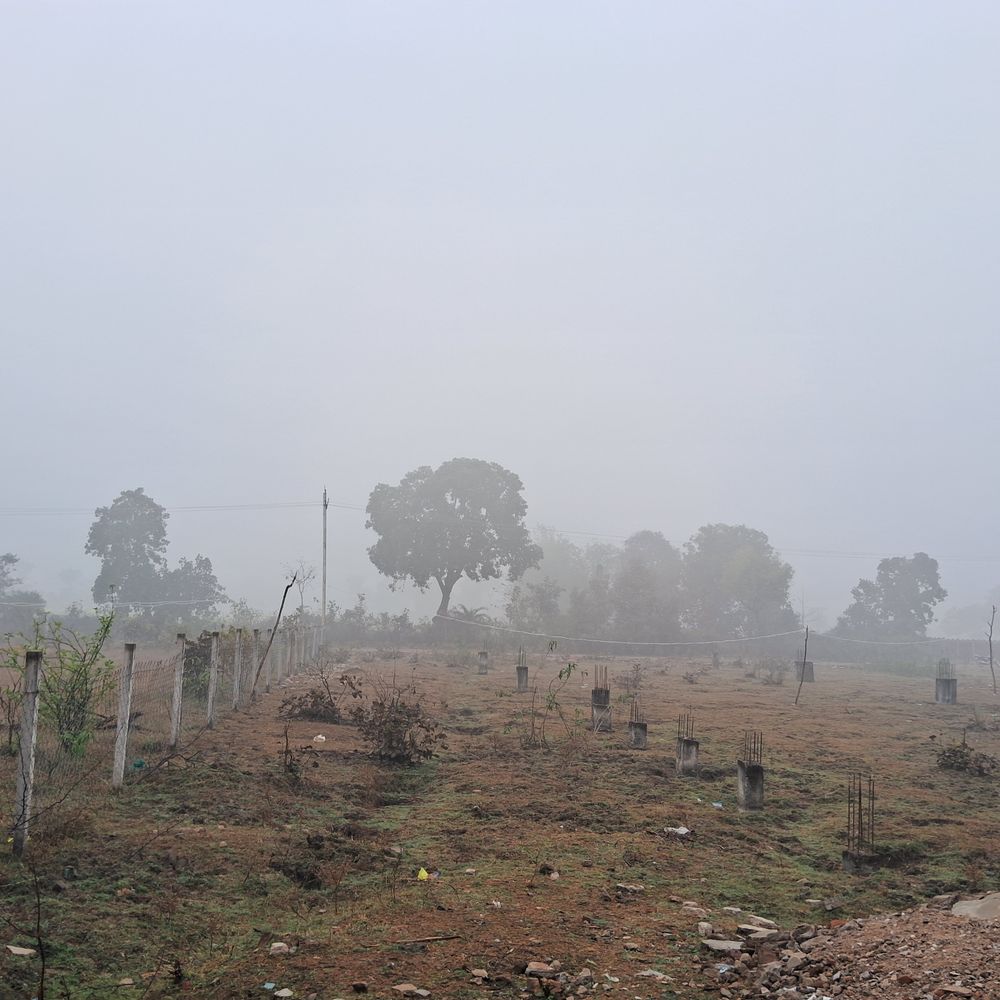 सर्द हवाओं से बढ़ी ठंड, पारा 7° गिरा:मौसम विभाग के अनुसार बारिश की संभावना; किसान बोले-ओलावृष्टि से गेहूं को नुकसान