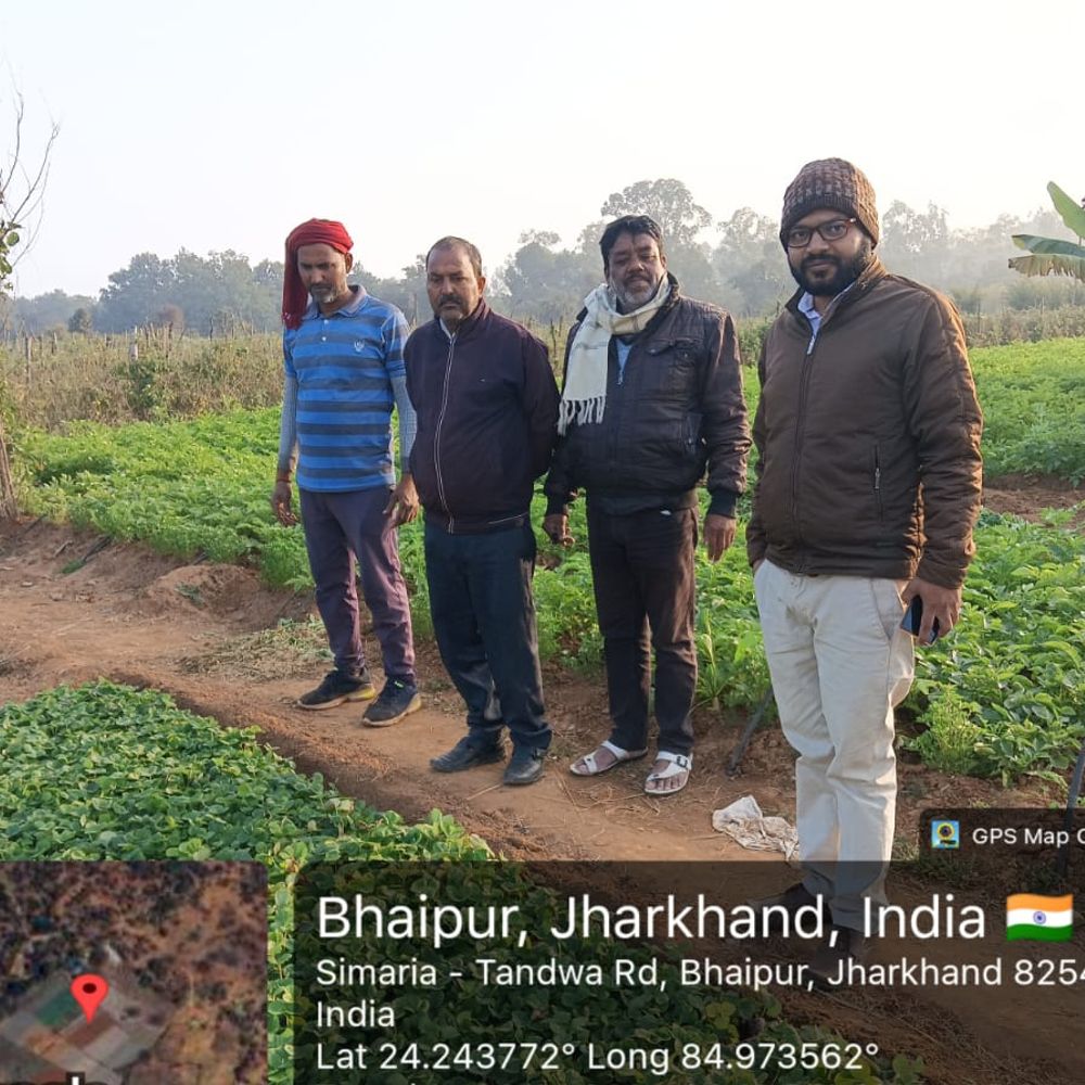 जिले में फल, फूल और सब्जी की खेती कर किसान हो रहे आत्मनिर्भर