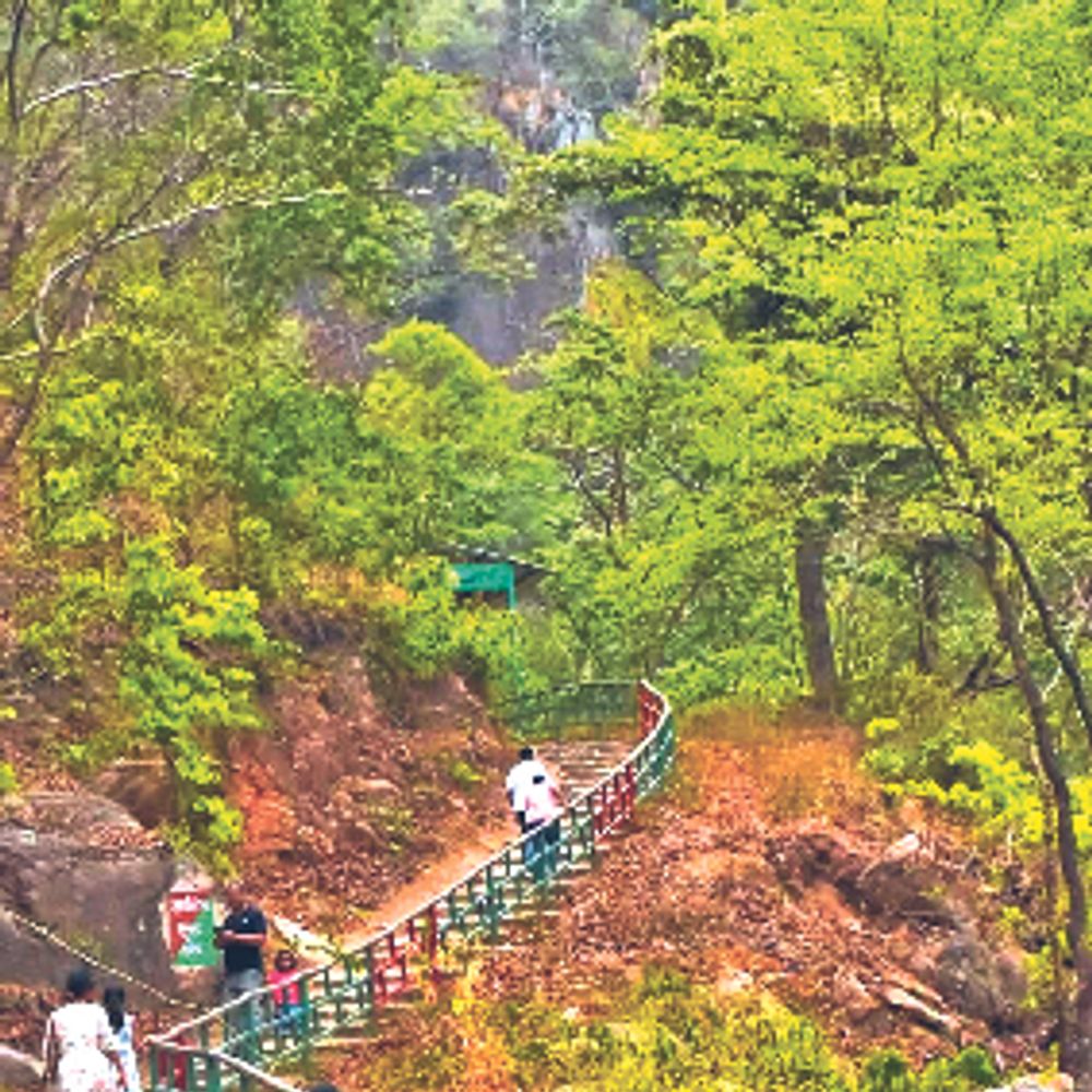 नेतरहाट में बढ़ा पर्यटन, युवाओं का पलायन भी रुका