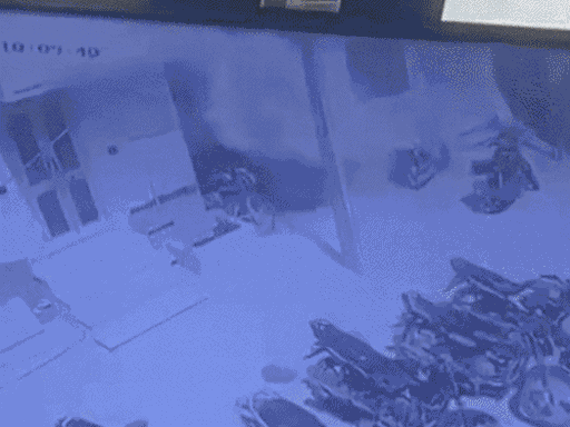 11-लोगों की मौत पर अधिकारियों की भूमिका की जांच होगी:कोर्ट ने कहा- जिम्मेदारी निभाते तो इतना बड़ा हादसा नहीं होता; बीकानेर सिलेंडर ब्लास्ट मामला