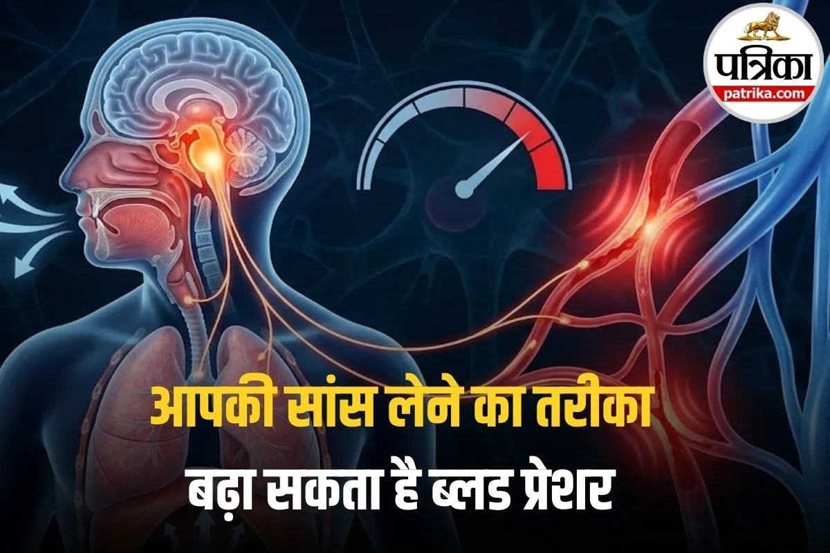 दिमाग का वो कोना जो चुपके से बढ़ा रहा है आपका BP! वैज्ञानिकों ने खोजी इस बीमारी को जड़ से खत्म करने की चाबी