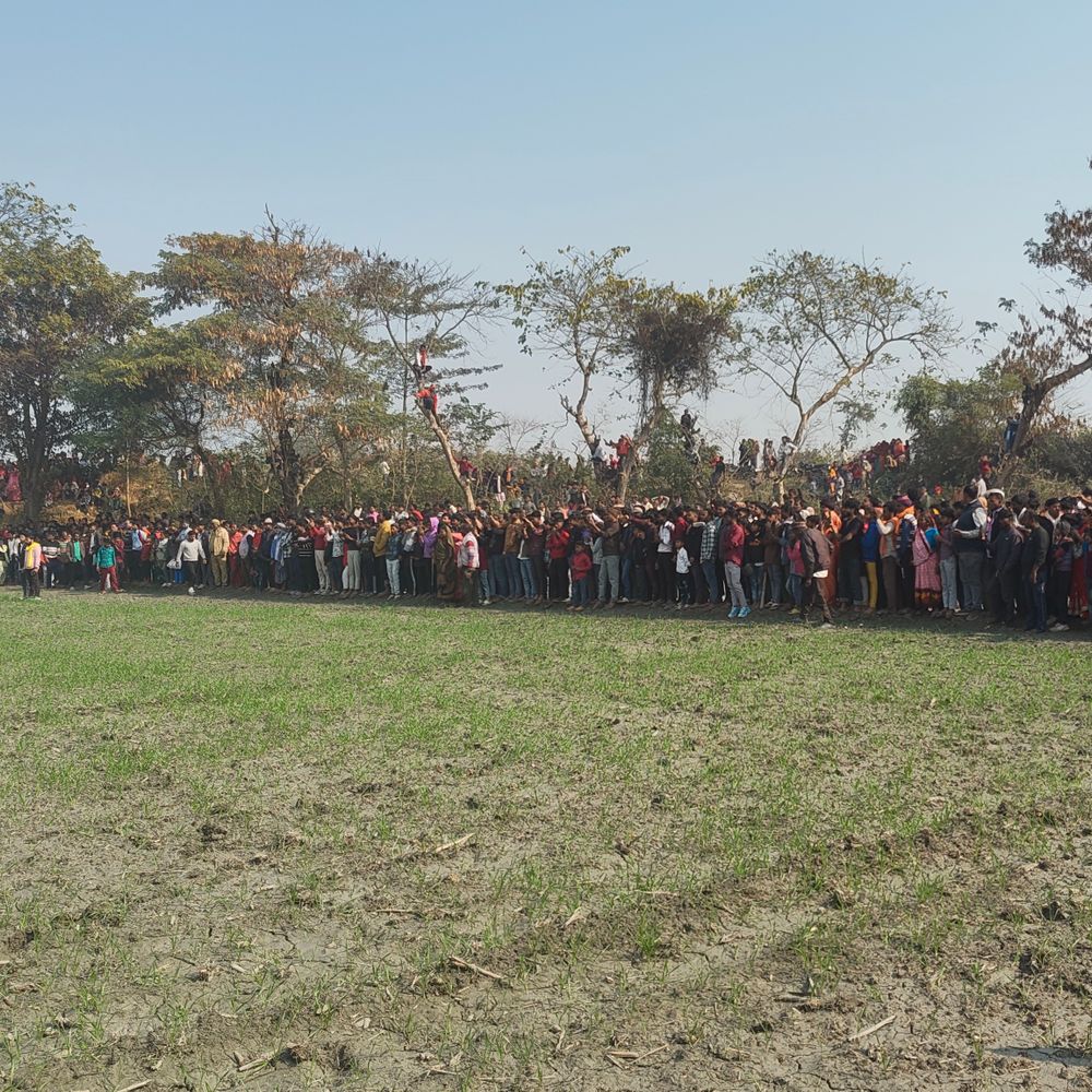 कुशीनगर में गन्ने के खेत में फंसा तेंदुआ:सिसवा गोपाल गांव में हड़कंप, हजारों की भीड़ जुटी