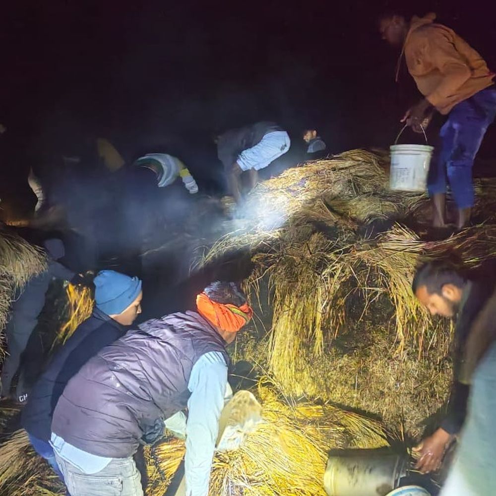 खलिहान में लगी आग, धान का अनाज जलकर राख:शेखपुरा में 2 किसानों को डेढ़ लाख का नुकसान, दमकल कर्मियों ​​​​​​​ने आग फैलने से रोका