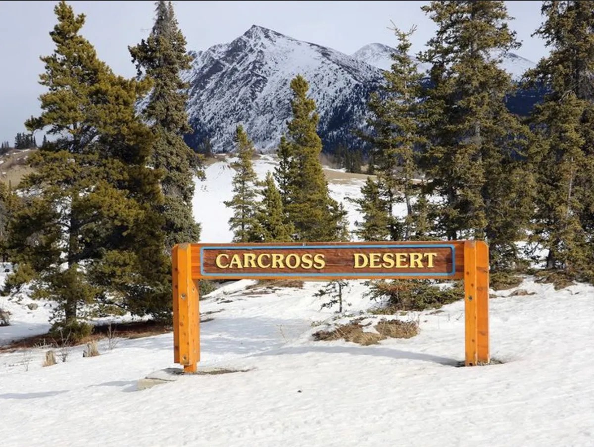 World’s Smallest Desert: इस रेगिस्तान में होती है बर्फबारी, बिलकुल नहीं पड़ती गर्मी