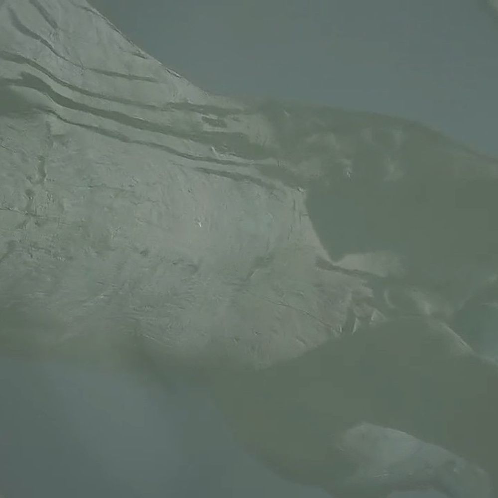 शाजापुर में लाड़ली बहनों को पिलाया गया गंदा पानी:मीडिया के हस्तक्षेप के बाद बदले गए पानी के कैंपर