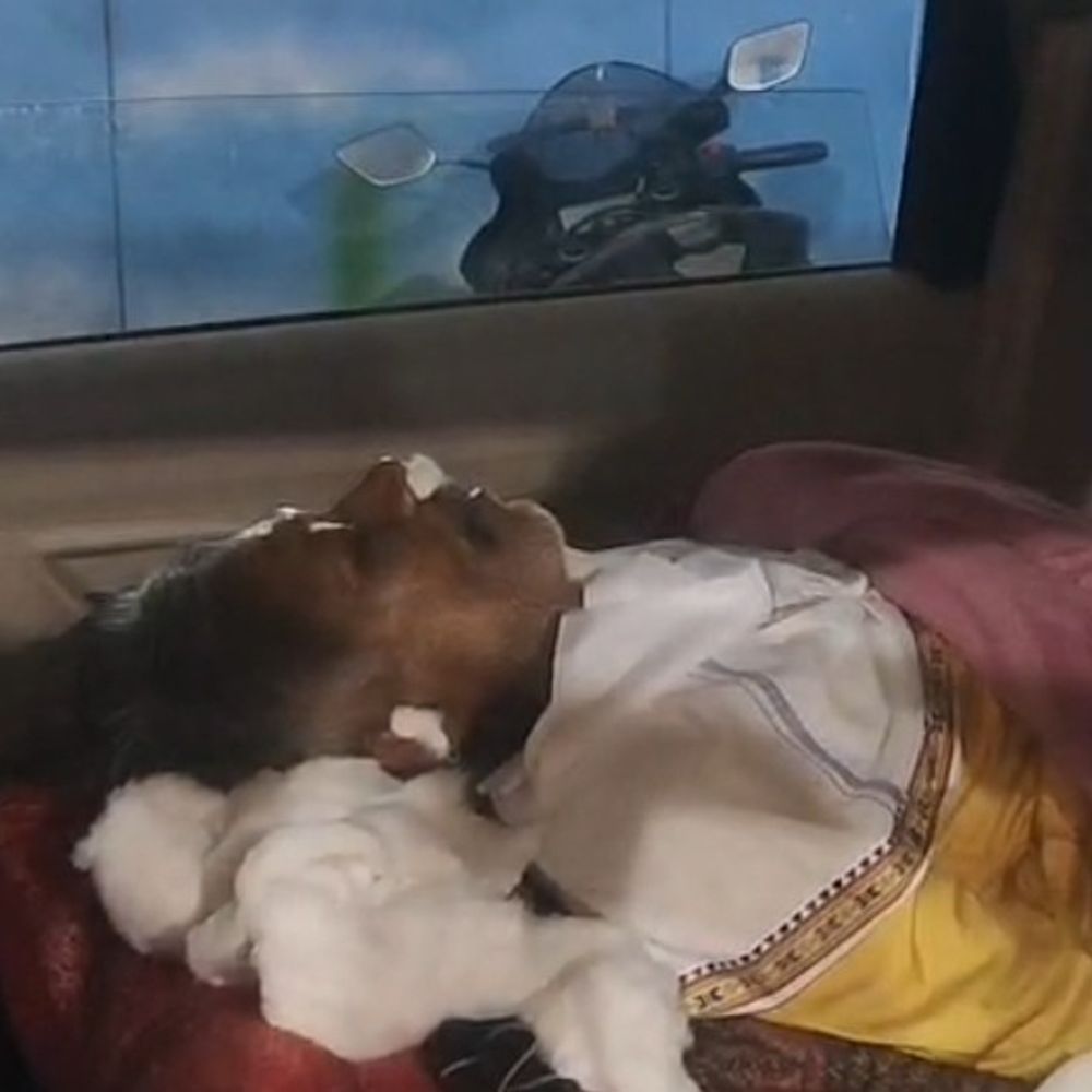 सिवनी में दो बाइक्स की भिड़ंत, एक की मौत:मानेगांव के पास हादसा; एक की हालत नाजुक