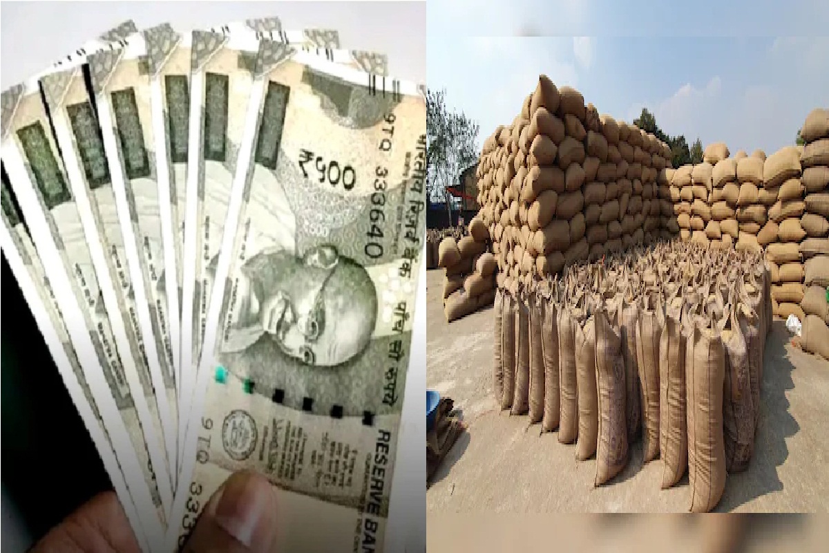 धान खरीदी में डिजिटल क्रांति! CM साय की नीति से किसानों को मिला पूरा भुगतान, जानें पूरी डिटेल…