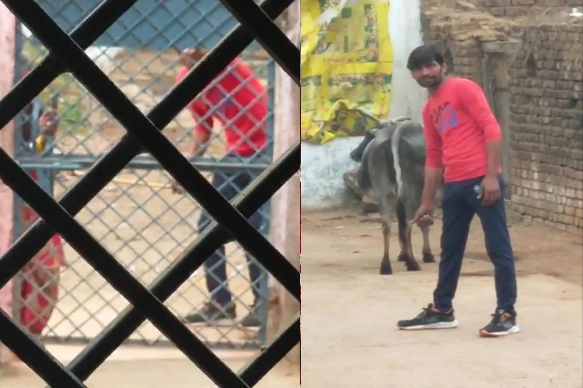 एमपी में स्कूल के गेट पर लाठी और पत्थर बरसाता रहा उत्पाती, चीखते रहे बच्चे