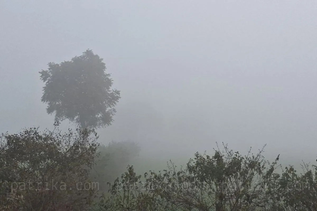 ग्वालियर में 9 और 10 जनवरी की छुट्टी घोषित, आदेश जारी