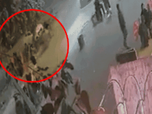 गैंगस्टर गोल्डी बराड़ के गुर्गे अंकित फौजी जमानत खारिज:पंचकूला NIA विशेष कोर्ट का फैसला, गुरुग्राम क्लब धमाका केस