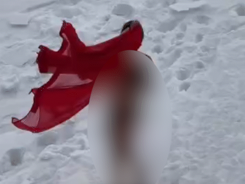 हिमाचल में महिला के वीडियो पर बवाल:मनाली में साड़ी उतारकर रील बनाई; PWD मंत्री बोले- अश्लीलता फैलाने वालों पर सख्त कार्रवाई हो