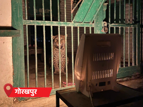 यूपी में 3 दिन पड़ेगी भीषण ठंड:35 जिलों में कोहरा, सड़कों पर सन्नाटा, 50 ट्रेनें लेट