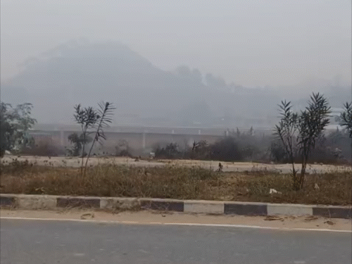 गयाजी में ठंड से राहत नहीं, न्यूनतम तापमान 6°C:ग्रामीण से लेकर शहरी इलाकों में कोहरा, सर्द पछिया हवा से बढ़ी कनकनी; कोल्ड डे जैसे हालात