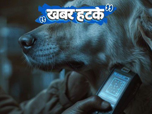 खबर हटके- आवारा कुत्तों पर माइक्रोचिप लगाएगी सरकार:घोड़ों को आग में दौड़ाने की परंपरा; कर्तव्य पथ की परेड में दिखेंगे मंगोलियन ऊंट