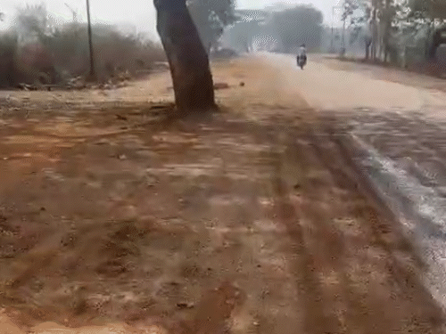 राजनांदगांव-खैरागढ़ मार्ग पर पेड़ हटाए बिना सड़क निर्माण:हादसों का खतरा बढ़ा; काली मिट्टी पर निर्माण से ग्रामीणों ने उठाए सवाल