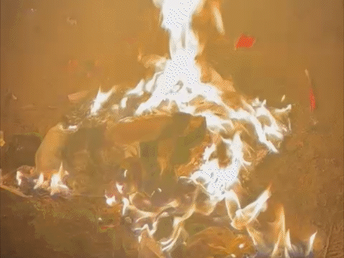 मोतिहारी में अलाव व्यवस्था की खुली पोल:कूड़ा-कचरा इकट्ठा कर आग जलाते नजर आए लोग, 4-5 लकड़ियां गिराकर चली जाती है निगम की गाड़ी