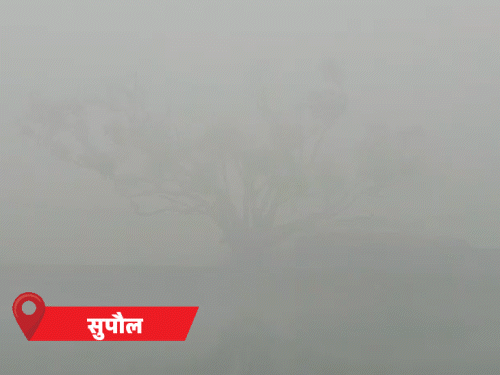 बिहार के 18 जिलों का टेंपरेचर 10 डिग्री से कम:पटना में नर्सरी, एलकेजी-यूकेजी 16 जनवरी तक बंद, 15 जिलों में कोहरे का अलर्ट