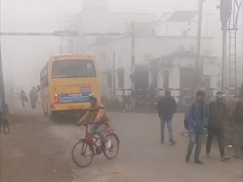 समस्तीपुर में कोहरे से नए साल का आगाज:50 मीटर रही विजिबिलिटी, 5.8° सेल्सियस पहुंचा; 4 जनवरी तक ठंड से राहत नहीं