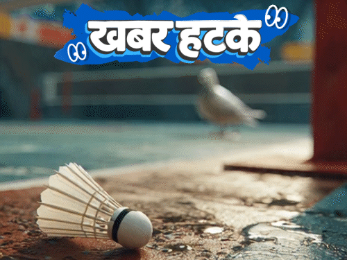 खबर हटके- 22 साल का लड़का चांद पर होटल बनाएगा:कबूतर की पॉटी से रुका मैच; कुत्ते की पूजा के लिए उमड़ी 50 हजार की भीड़