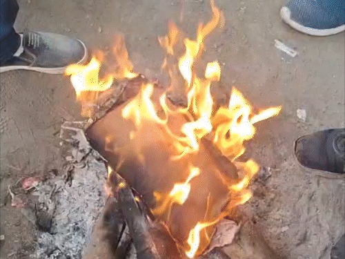 मुजफ्फरपुर में घना कोहरा, विजिबिलिटी 100 मीटर के करीब:कोल्ड डे का ऑरेंज अलर्ट, ठंड के चलते स्कूलों का समय बदला