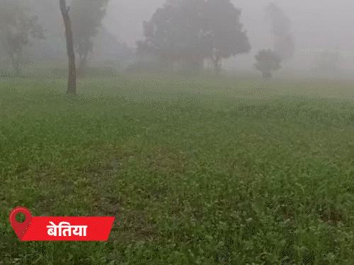 बिहार के सभी 38 जिलों में घने कोहरे का अलर्ट:आज कोल्ड डे से राहत, 1 से 2°C तक गिरेगा न्यूनतम तापमान