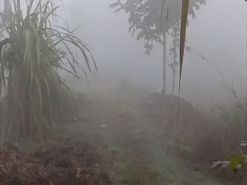 समस्तीपुर में विजिबिलिटी 25 मीटर, न्यूनतम तापमान 5°C:ग्रामीण से लेकर शहरी इलाकों में घना कोहरा; नई दिल्ली-दरभंगा हमसफर 6 घंटा लेट
