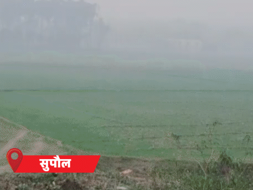 पूरे बिहार में कोहरे का अलर्ट, शीतलहर बढ़ाएगी परेशानी:कड़ाके की ठंड में हार्ट के मरीज बढ़े, 3 दिन में 25 मौतें; 10 जनवरी तक राहत नहीं