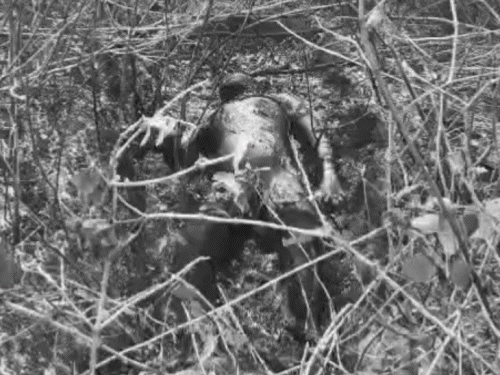 गिरिडीह के जंगल में अधजली बॉडी की हुई पहचान:दो दिन पहले हुई थी गायब, परिजनों ने ससुराल पक्ष पर हत्या का लगाया आरोप