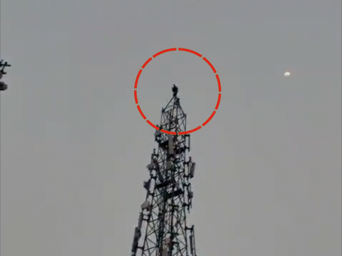 प्रेमिका के लिए मोबाइल टावर पर चढ़ा युवक:FB पर दोस्ती हुई थी, लड़की ने मिलने से इनकार किया तो टावर पर चढ़ा; पुलिस ने बचाई जान