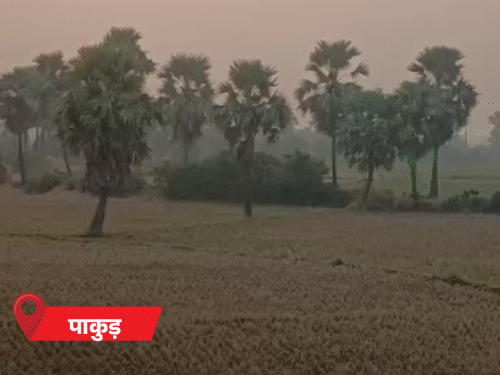 30 जनवरी तक झारखंड में शुष्क रहेगा मौसम:चतरा, पलामू और गढ़वा में ज्यादा गर्मी, उत्तर-पूर्व में स्थिर तापमान, 3°C तक बढ़ेगा तापमान